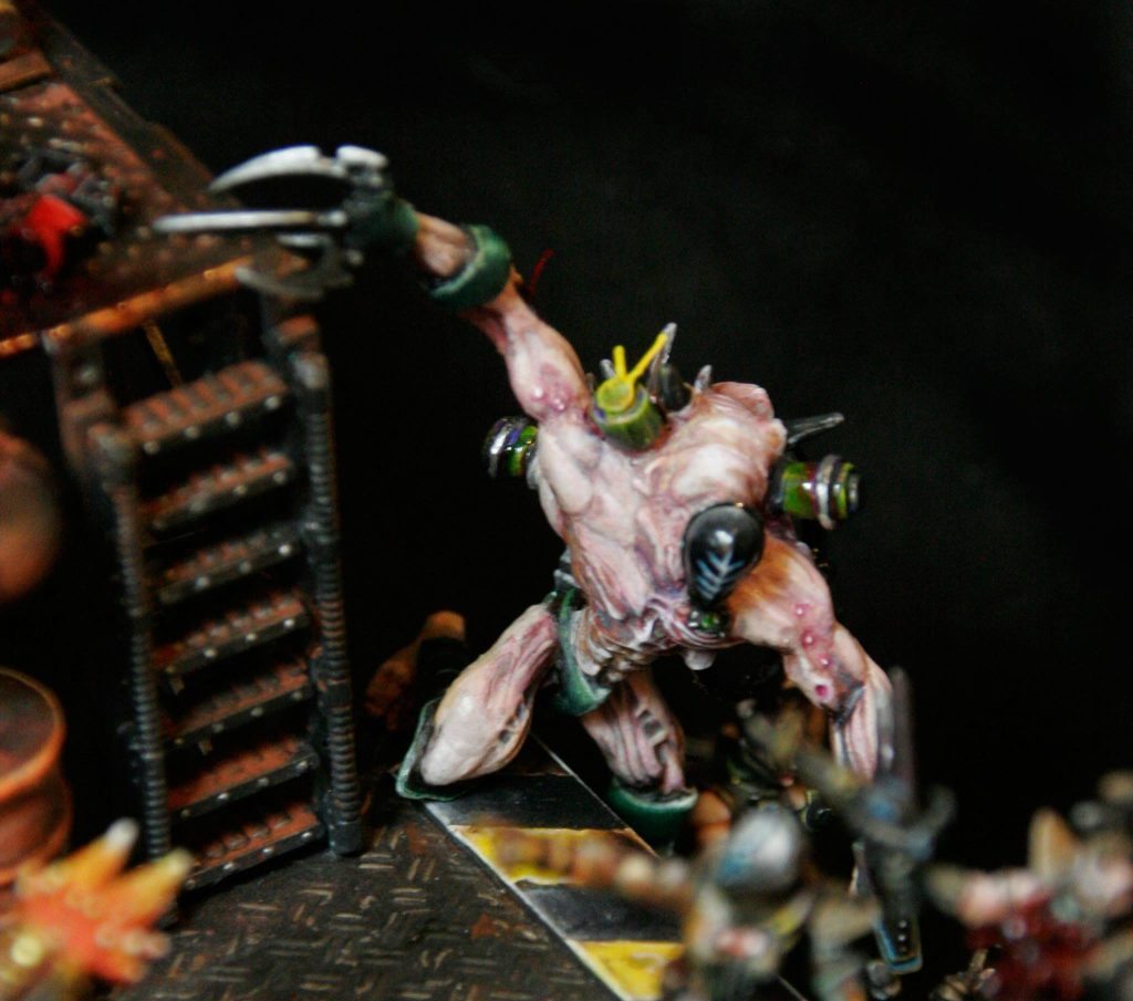 10258148_795146763874958_4143373590166788233_o